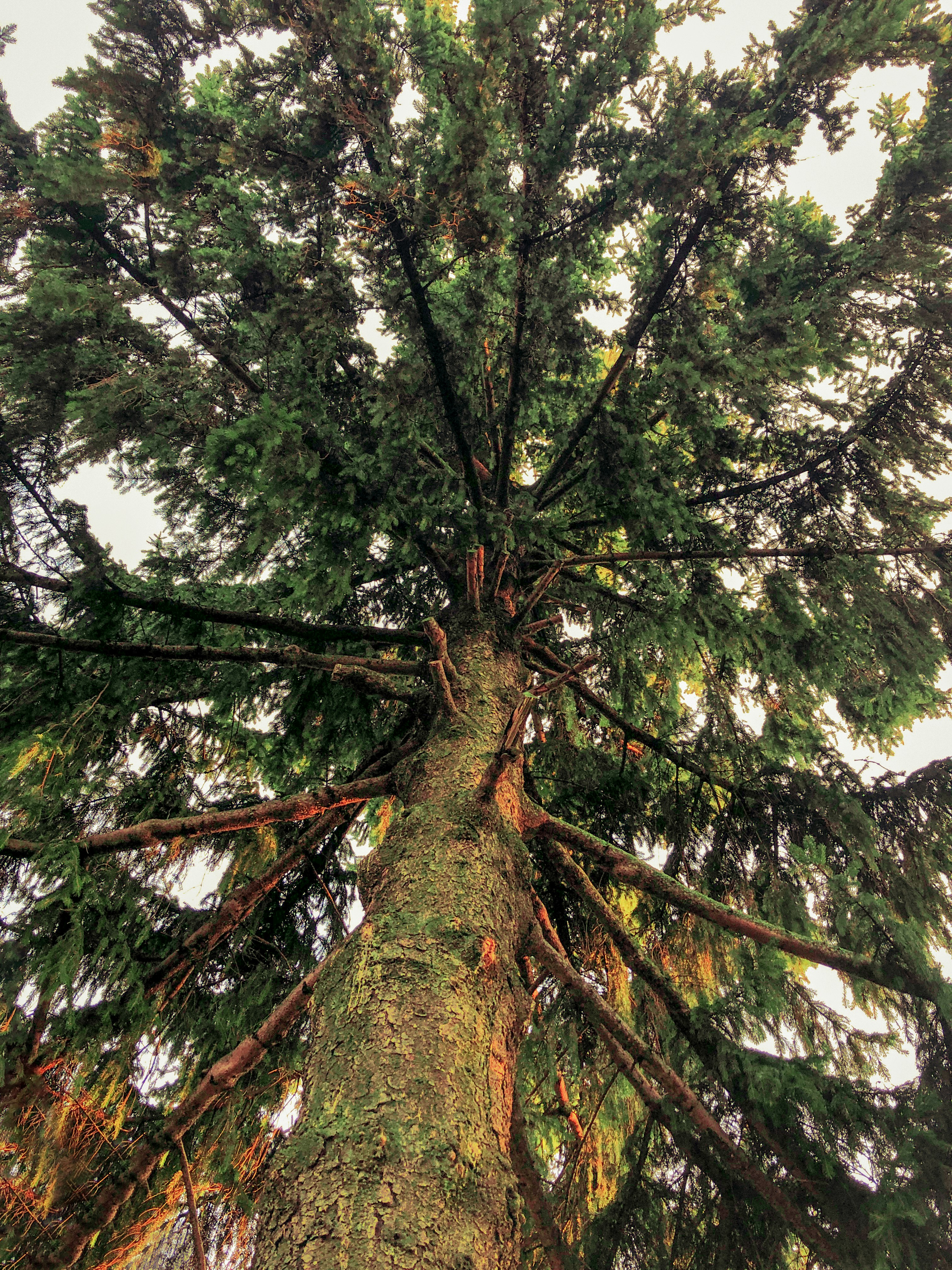 Photo by luciahatalova