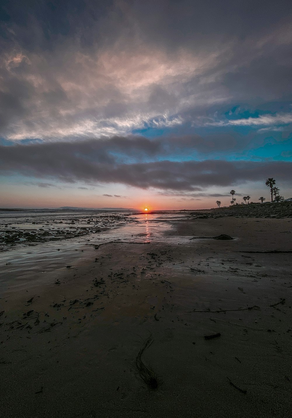 people on beach during sunset