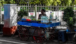 A street vendor is sitting beside a blue wooden cart with red wheels. The cart is stocked with items like water bottles, various fruits, and snacks. There are two small potted bushes, adding greenery to the scene. The vendor is on a phone call, and the background features a fence and trees, suggesting an urban outdoor setting.