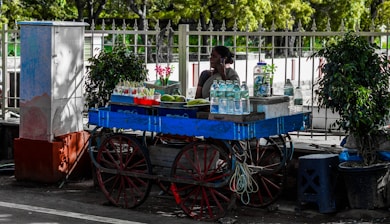 A street vendor is sitting beside a blue wooden cart with red wheels. The cart is stocked with items like water bottles, various fruits, and snacks. There are two small potted bushes, adding greenery to the scene. The vendor is on a phone call, and the background features a fence and trees, suggesting an urban outdoor setting.