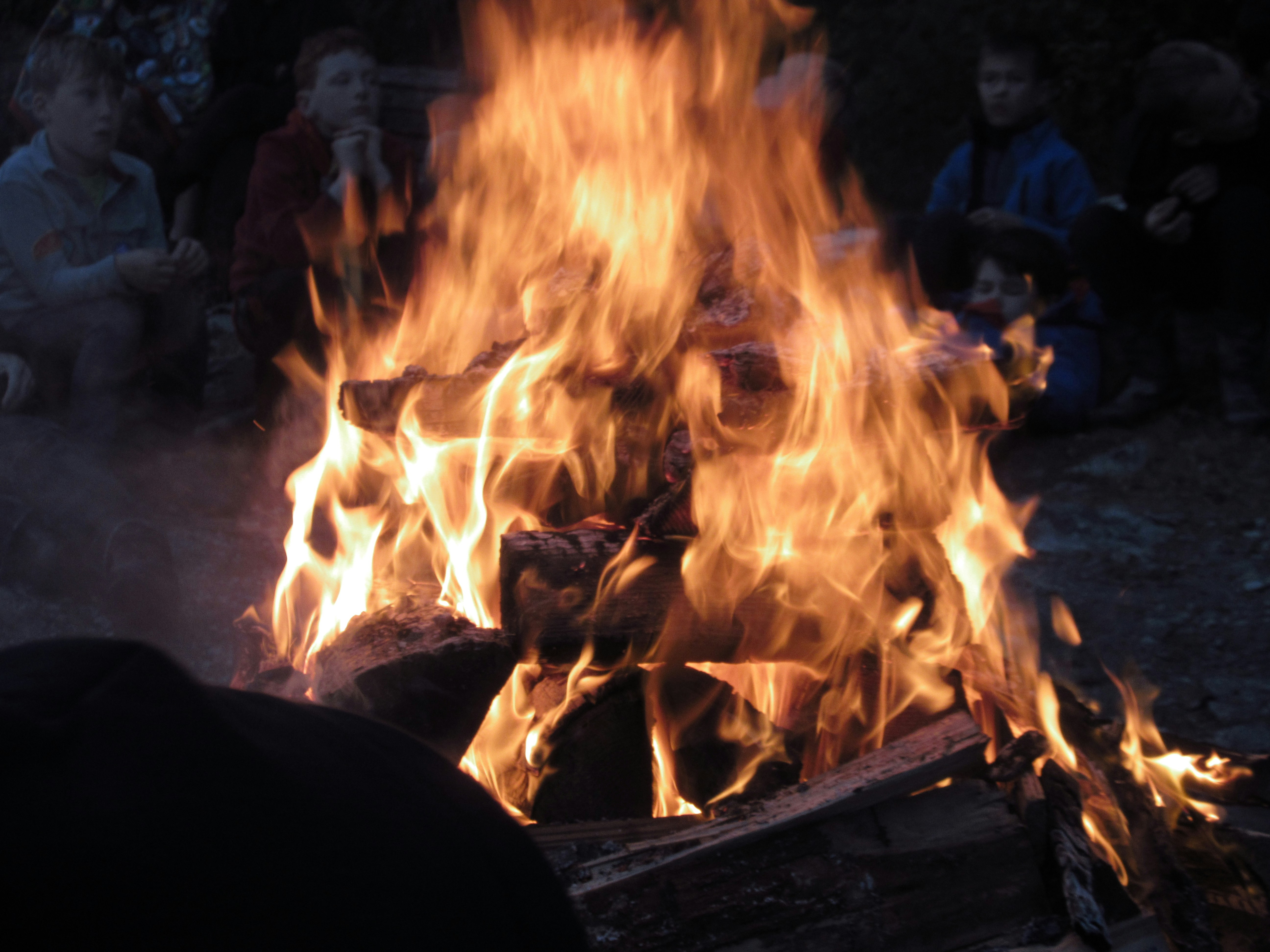 Photo by mind_the_gap