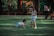 Two young children are playing on a grassy area. One child is crawling on the ground while the other stands nearby, both dressed casually. In the background, adults are sitting and observing the children, surrounded by trees and outdoor furniture.
