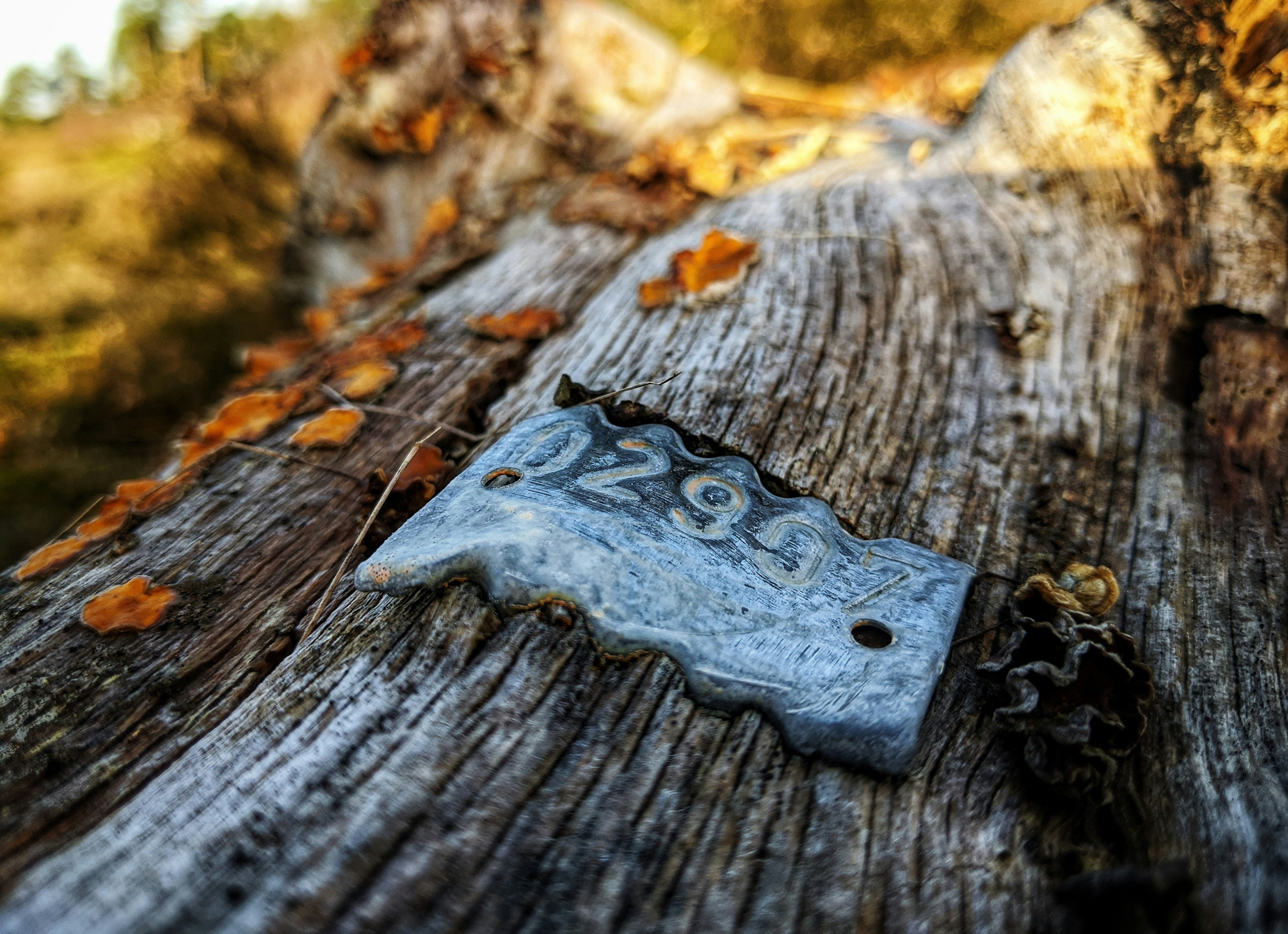 photo 1580586896992 a8c6b9296776?ixlib=rb 4.0