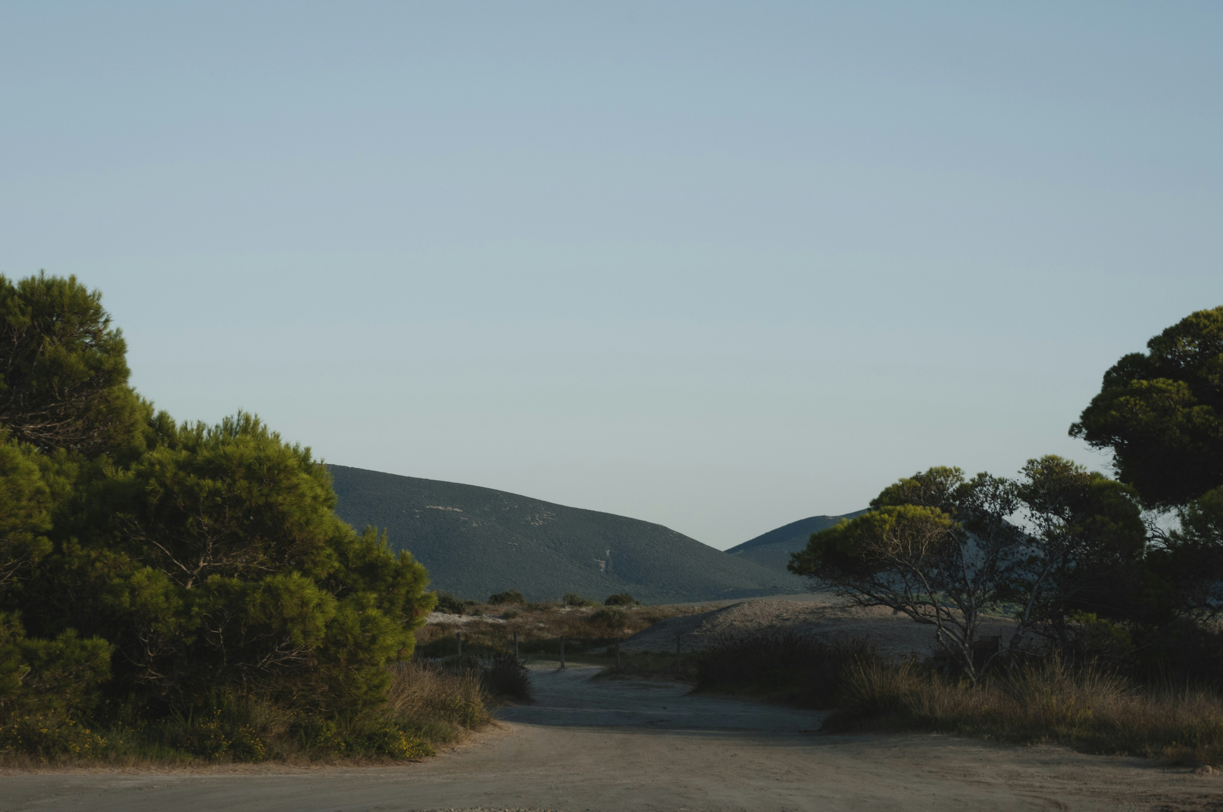 Photo by yuli_superson