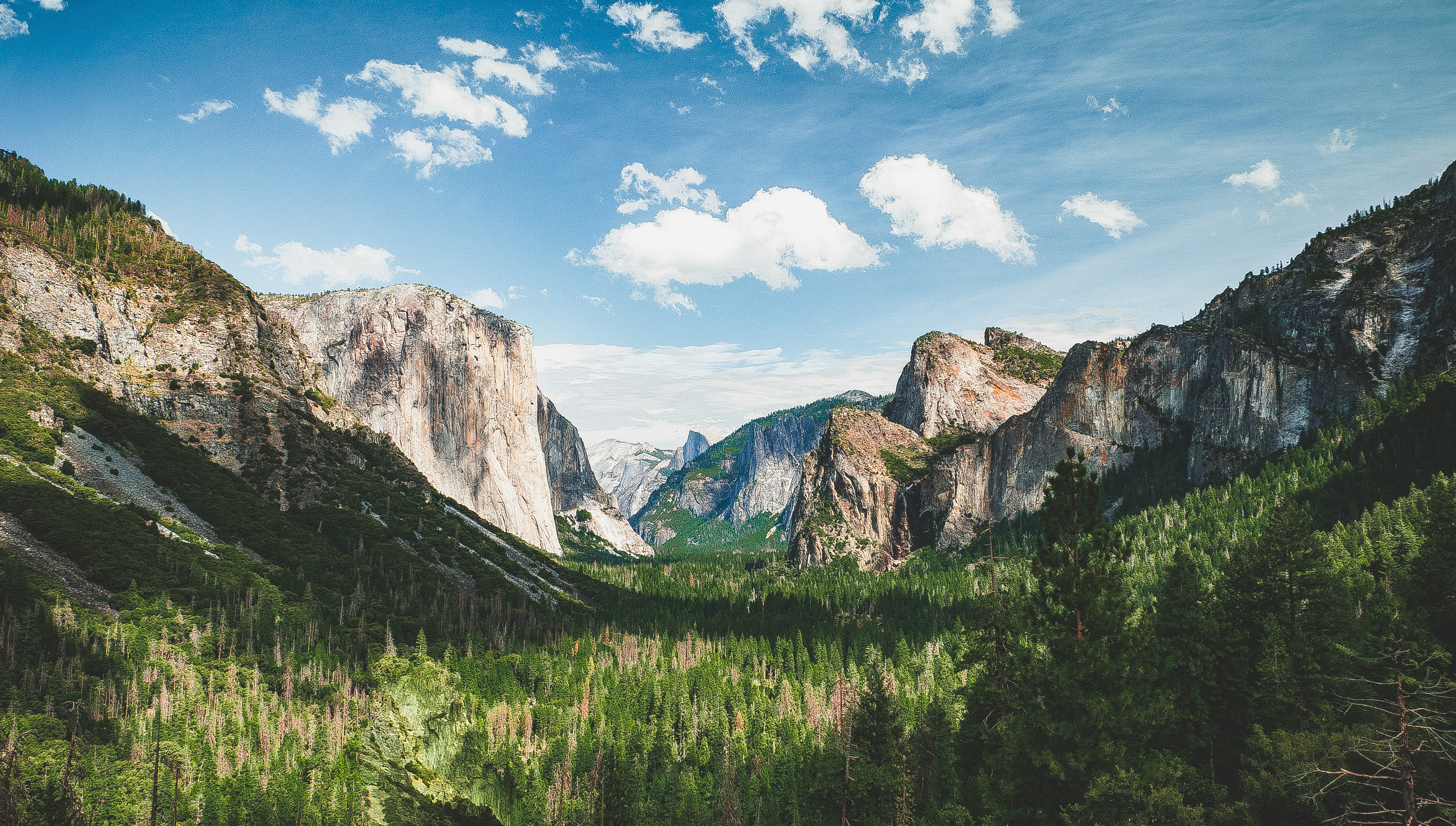 green trees and gray rocky mountain under blue sky during daytime yosemite teams background