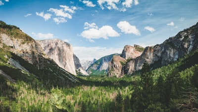 green trees and gray rocky mountain under blue sky during daytime yosemite teams background