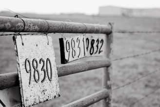 A close-up of a metal gate with two weathered signs displaying numbers 9830 and 9832. The gate is rusty and situated in a grassy area with a blurred background, suggesting an outdoor rural setting.