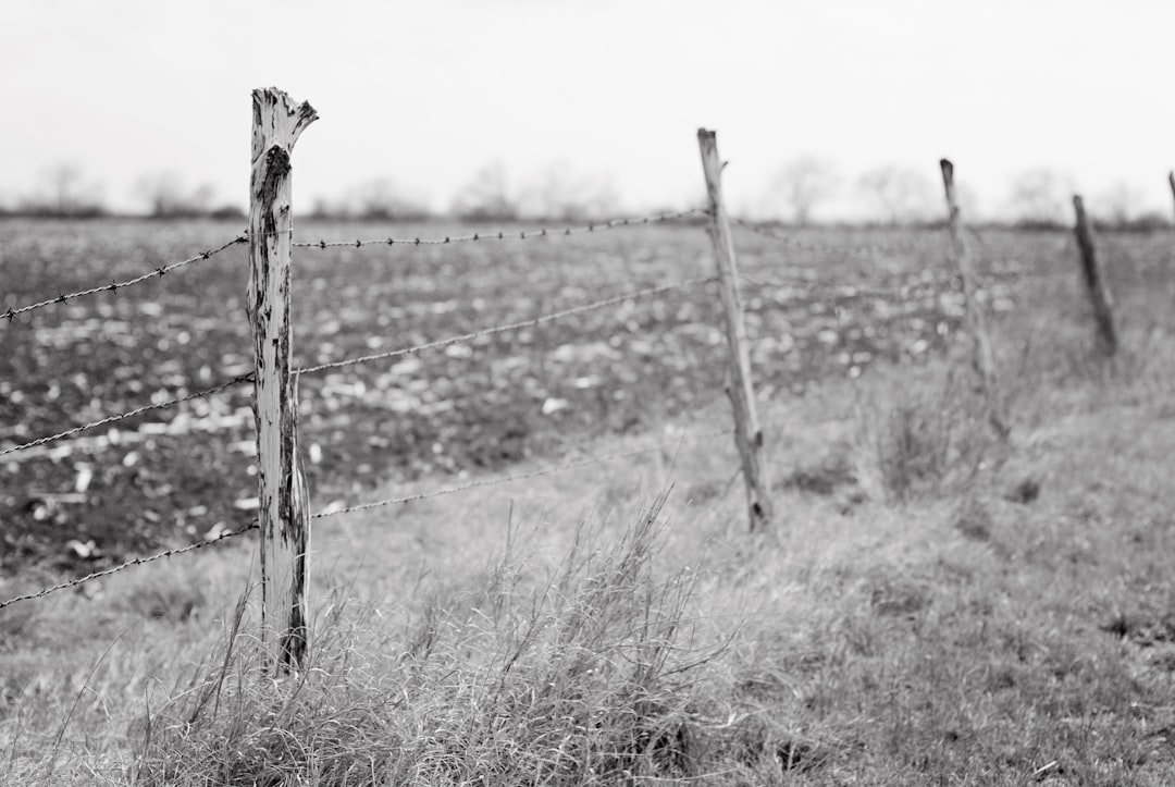 grayscale photo of barbwire fence