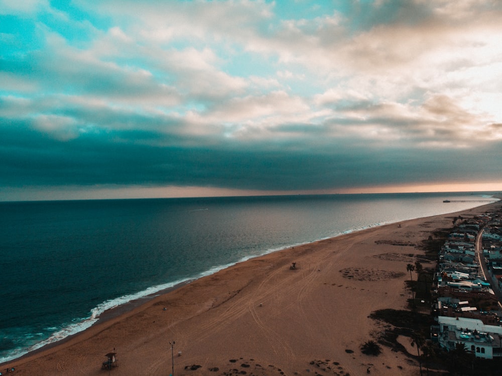 people walking on beach during daytime