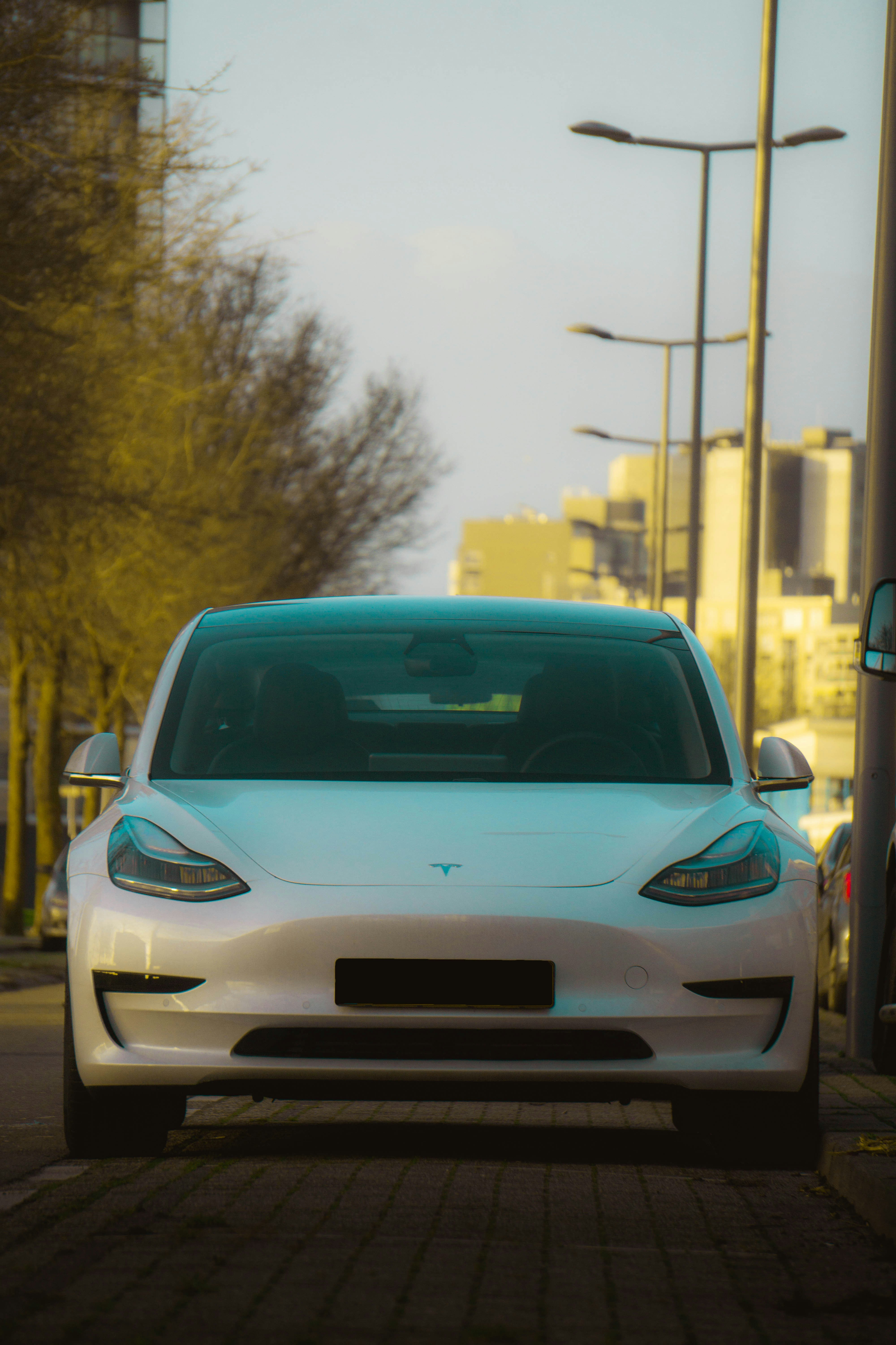 Photo by davidbenesph