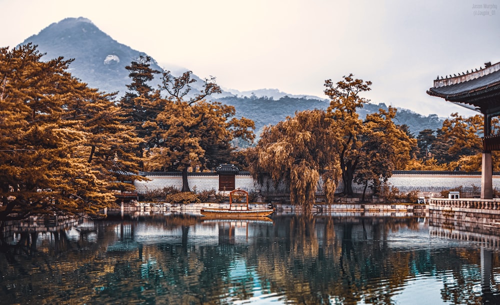 brown trees near body of water during daytime