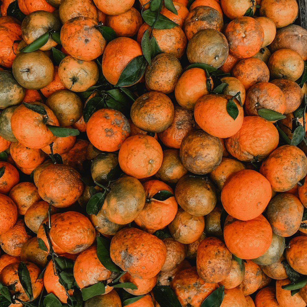 orange fruit lot during daytime