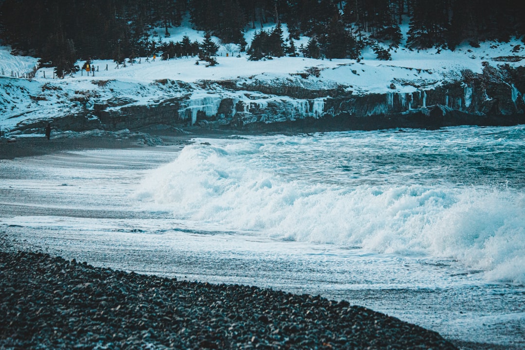 Shore photo spot Middle Cove St. John's