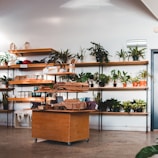 A small shop interior with wooden shelves full of potted plants of various sizes and types. The shelves also hold other items like hats and jars. In front, there's a wooden display cart with more products, including fabric items and small boxes, against a plain wall.