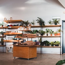 A small shop interior with wooden shelves full of potted plants of various sizes and types. The shelves also hold other items like hats and jars. In front, there's a wooden display cart with more products, including fabric items and small boxes, against a plain wall.