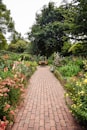 brown brick pathway between green plants during daytime