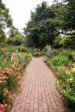 brown brick pathway between green plants during daytime