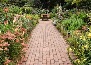 brown brick pathway between green plants during daytime