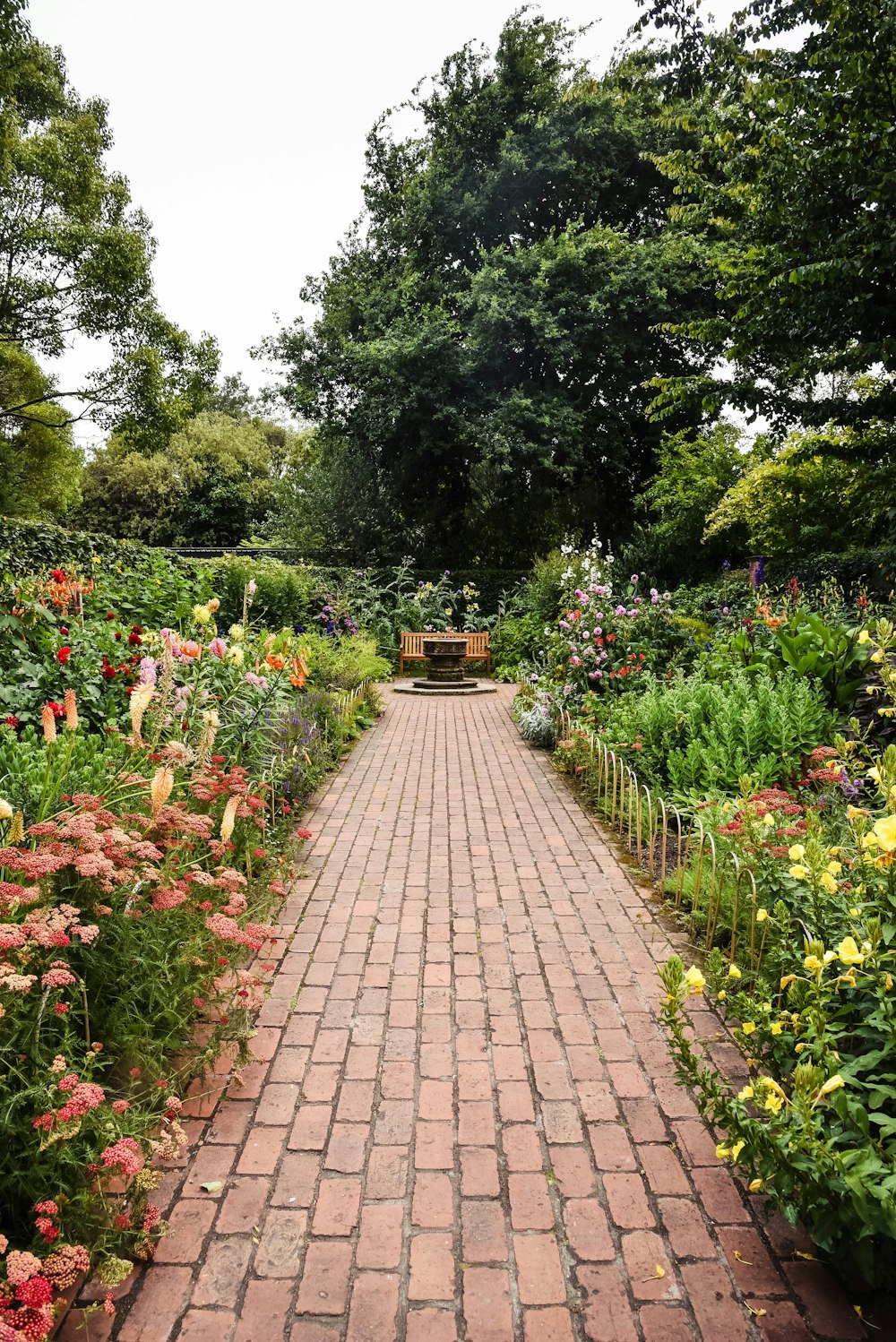 brown brick pathway between green plants during daytime