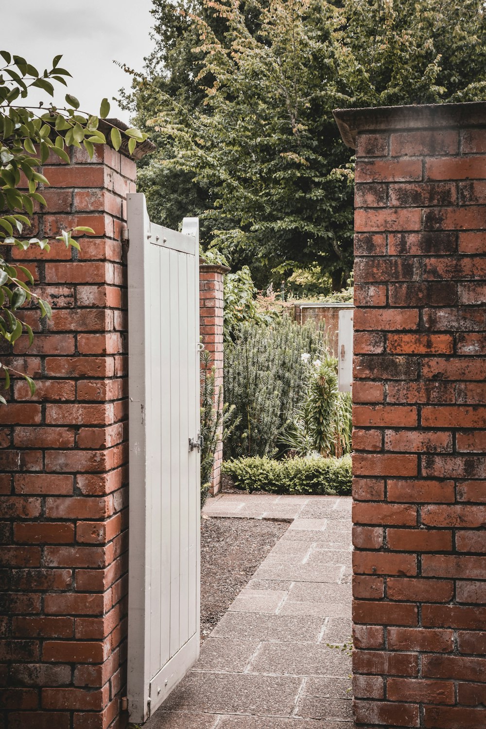 brown brick wall with green plants