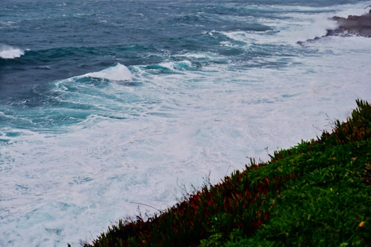 green grass near body of water during daytime in Colares Portugal