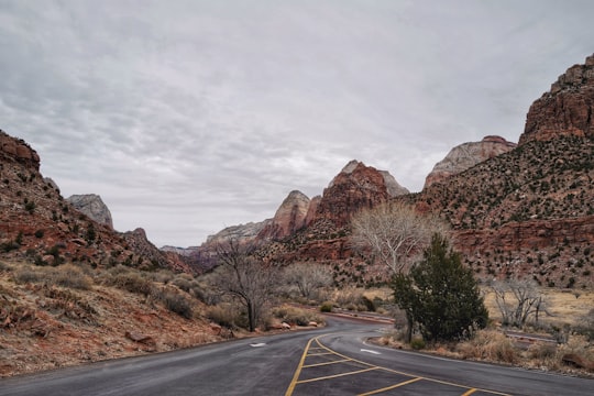 gray concrete road near brown rocky mountain under white sky during daytime in Zion National Park United States