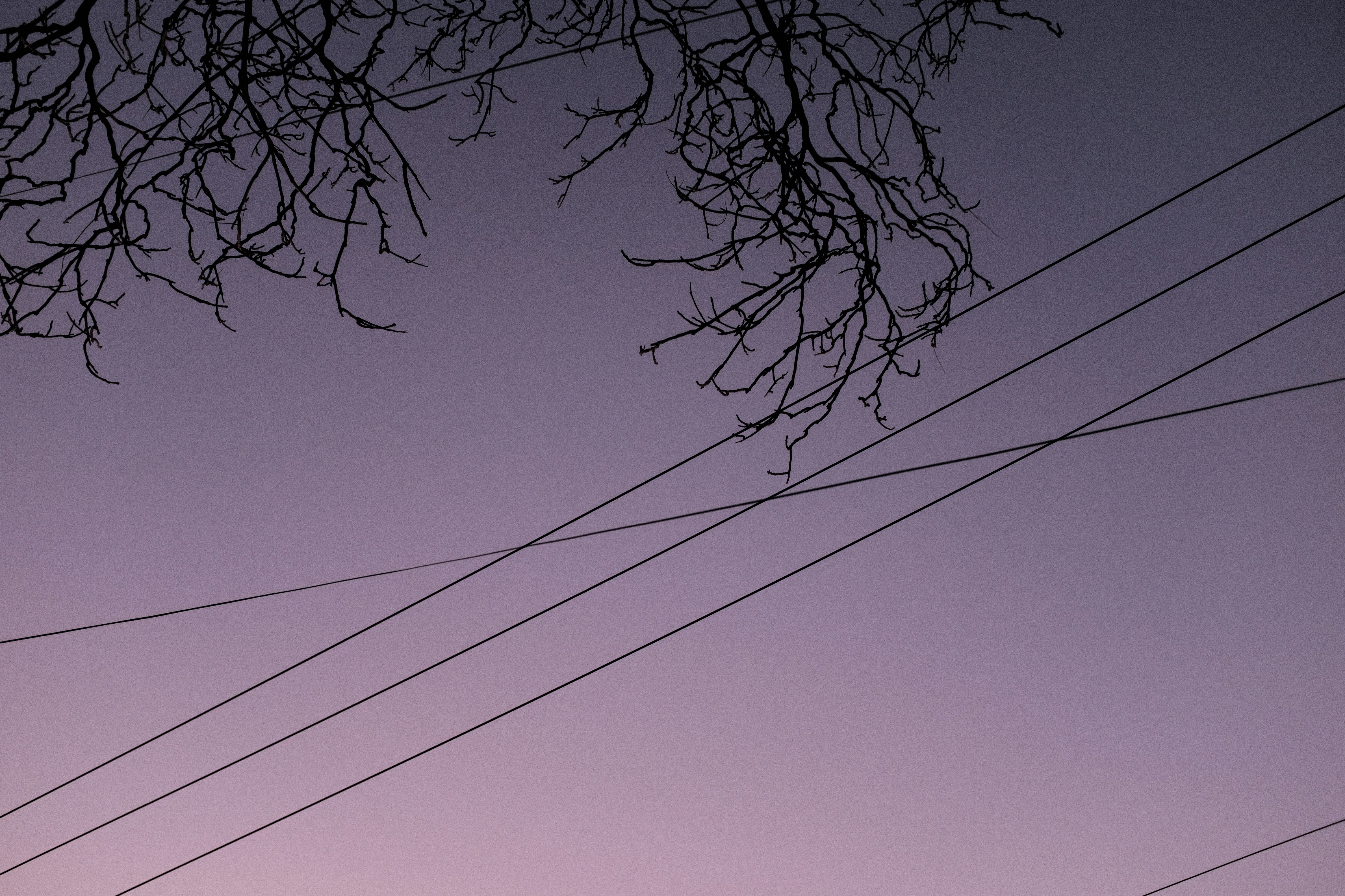 Photo by kennyzhang29