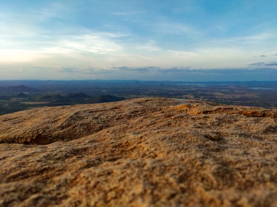 brown field under blue sky during daytime in Teixeira Brasil