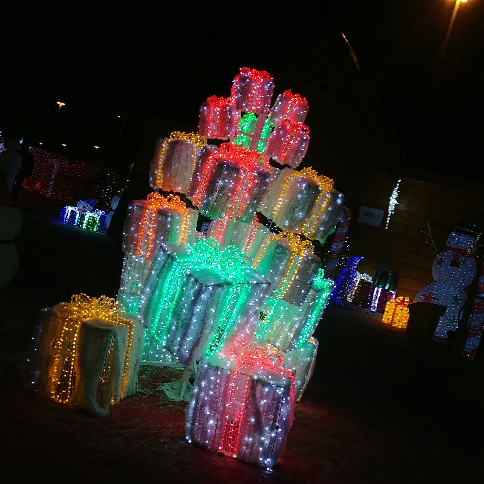 woman holding dried flower