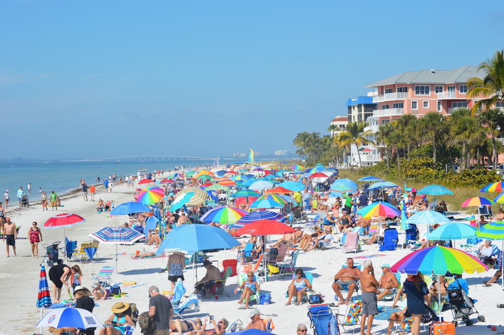 people on beach during daytime