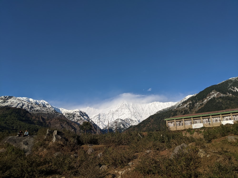 árboles verdes cerca de la montaña bajo el cielo azul durante el día