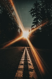 sun rays coming through trees