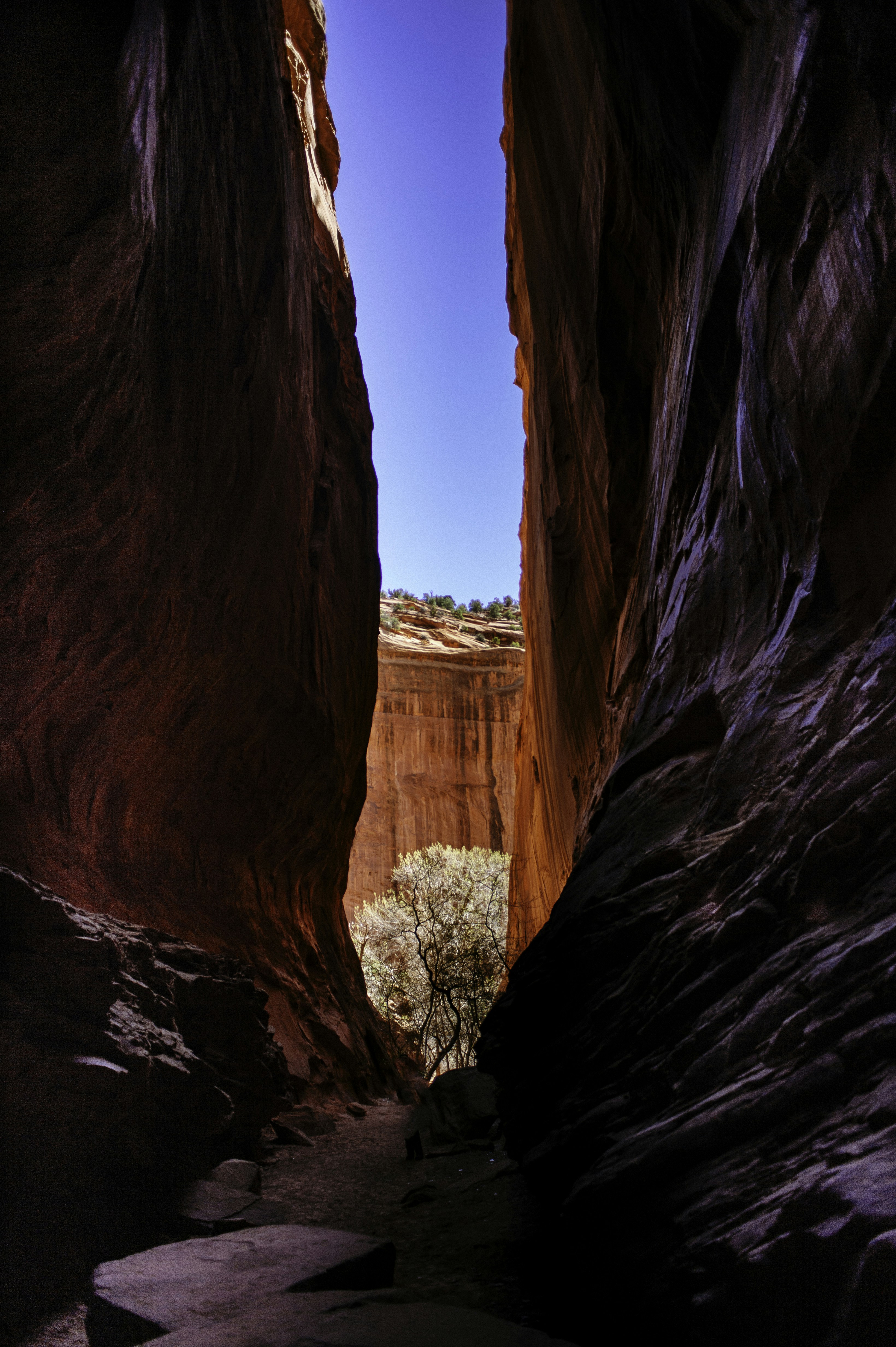 Slot canyon, 17 Mile Canyon, Utah.