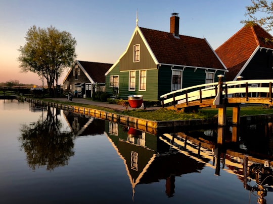 brown wooden dock on lake during daytime in Zaans Museum Netherlands