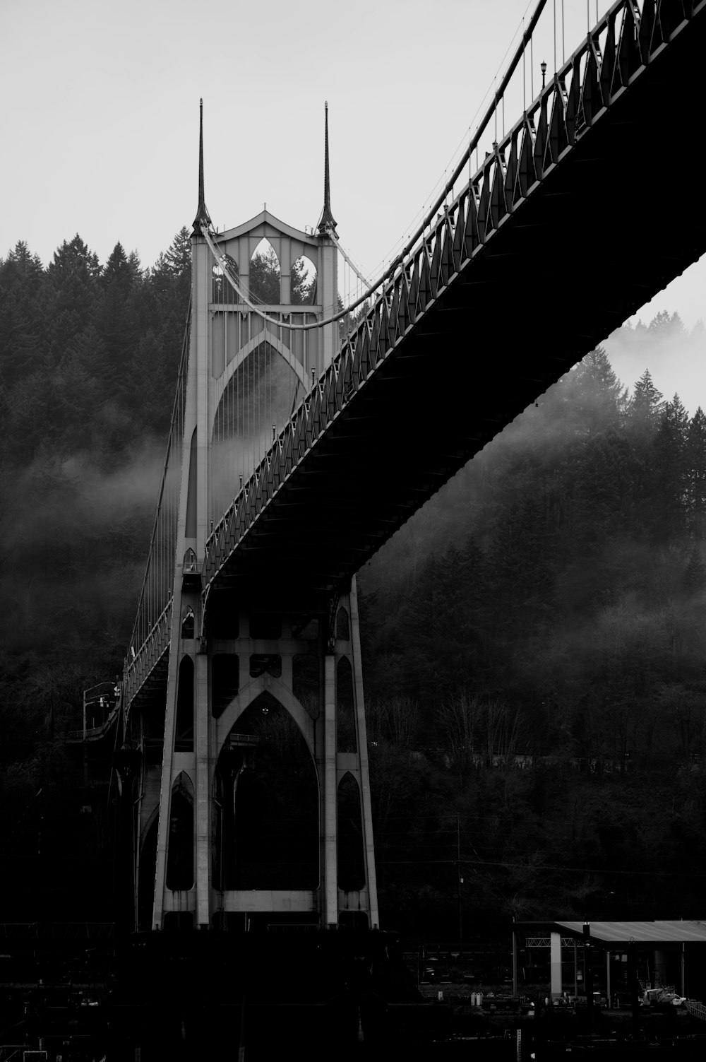 grayscale photo of bridge in forest