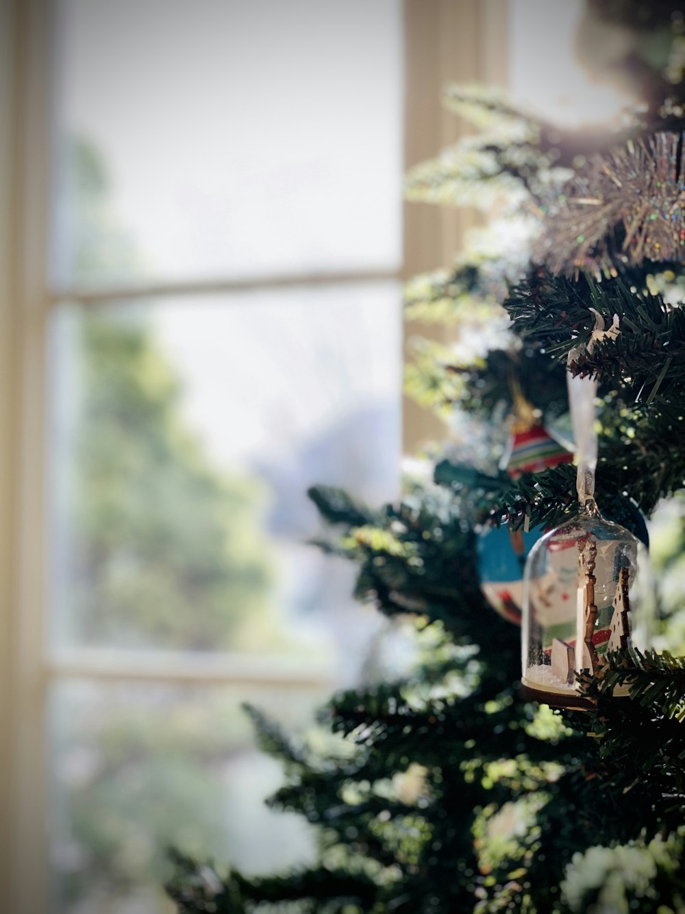 green christmas tree with string lights