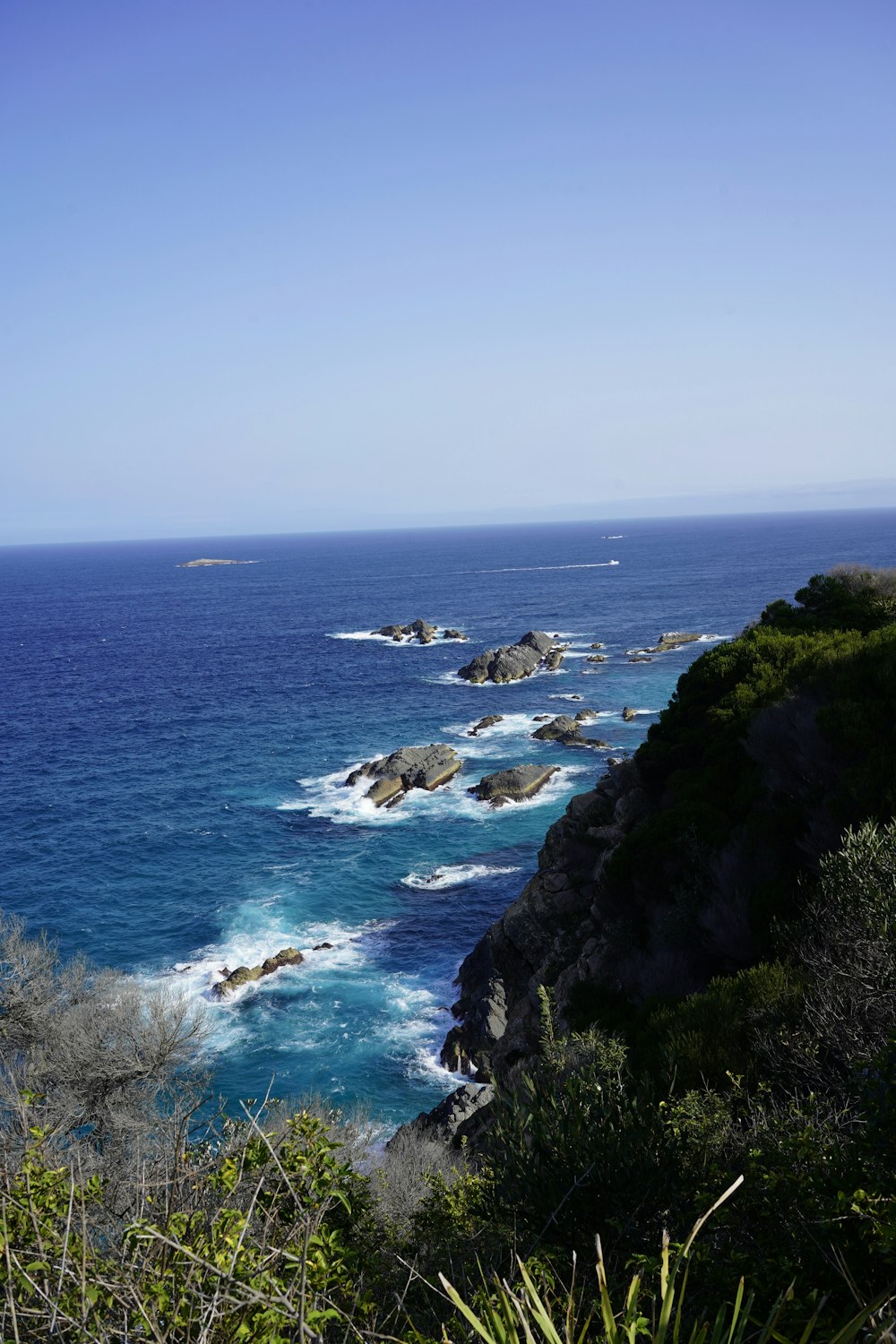 green grass covered mountain beside sea during daytime