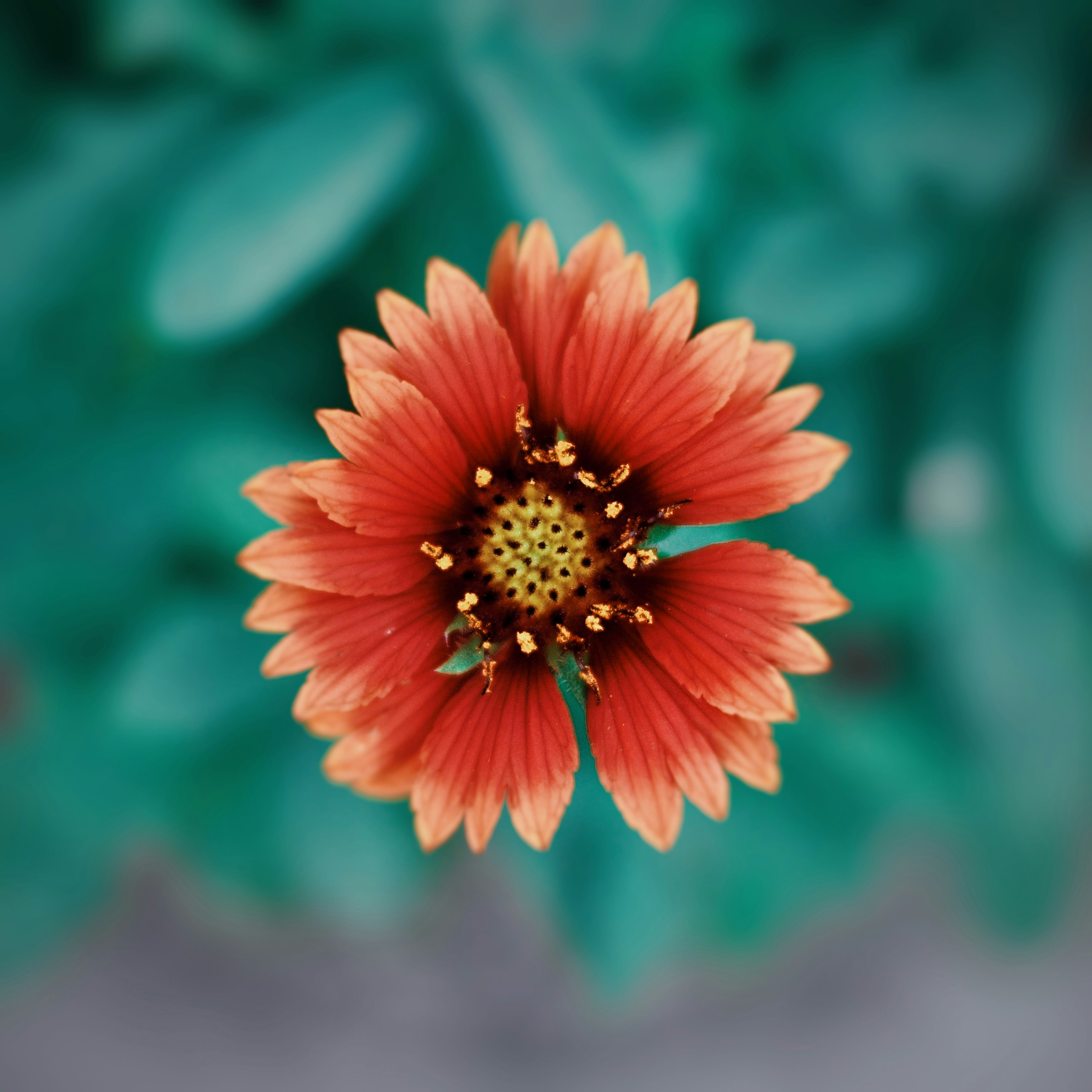 Photo by ziyaadhphotos