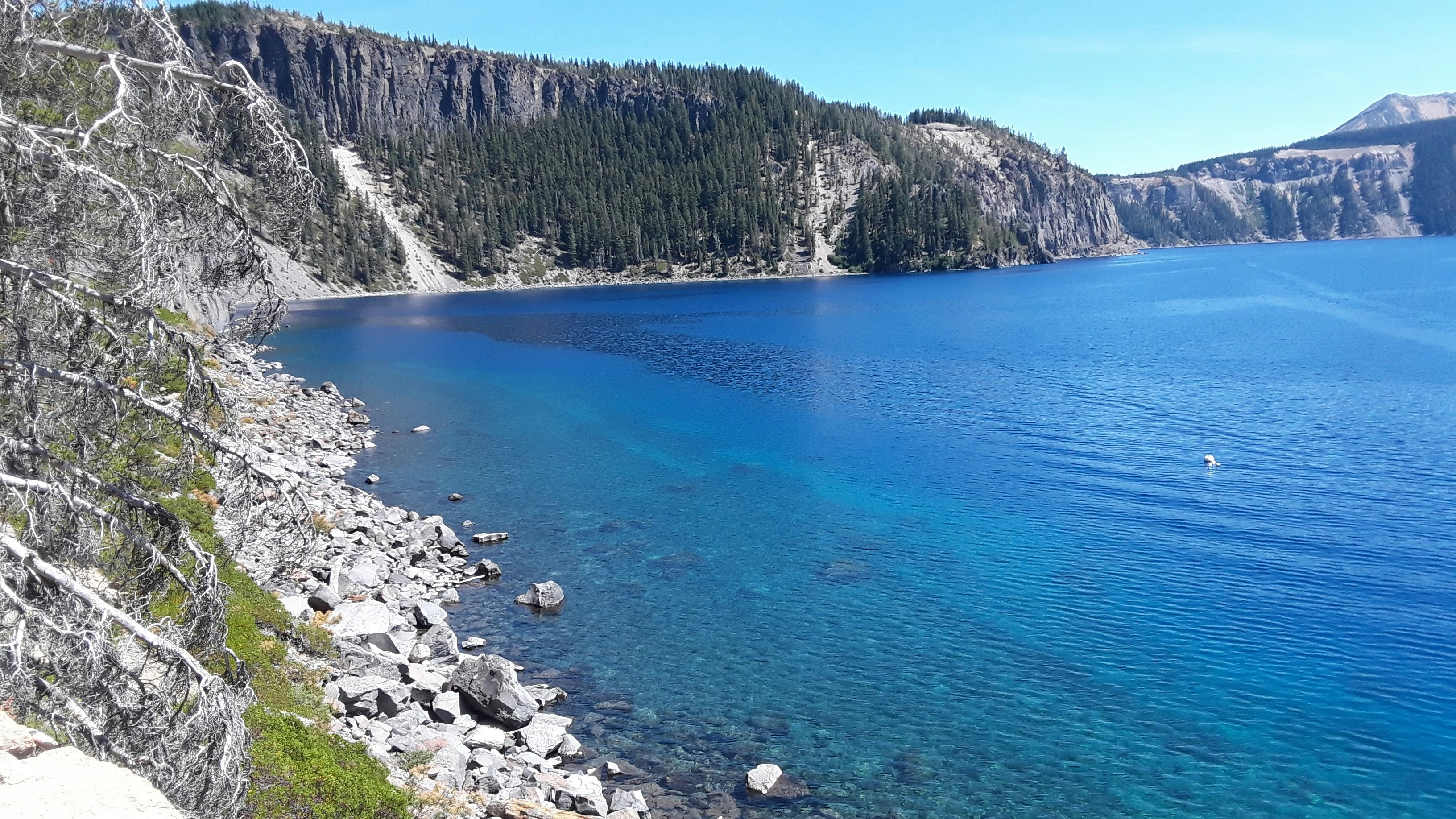 Swimming at Crater Lake