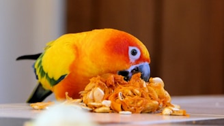 Colorful parrot perched on a branch eating seeds from a bowl
