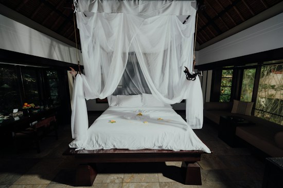 A beautifully arranged bed with white linens and a canopy of sheer white fabric draping elegantly from above. The room is spacious with dark wooden accents, large windows showing a view of greenery, and a touch of natural light filtering in. On the bed are small yellow flowers, adding a touch of color to the clean aesthetic. In the background, there is a fruit basket and other decorative items on a table.