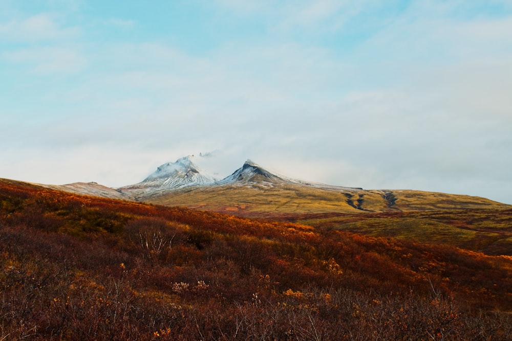 Campo de hierba marrón cerca de la montaña cubierta de nieve durante el día