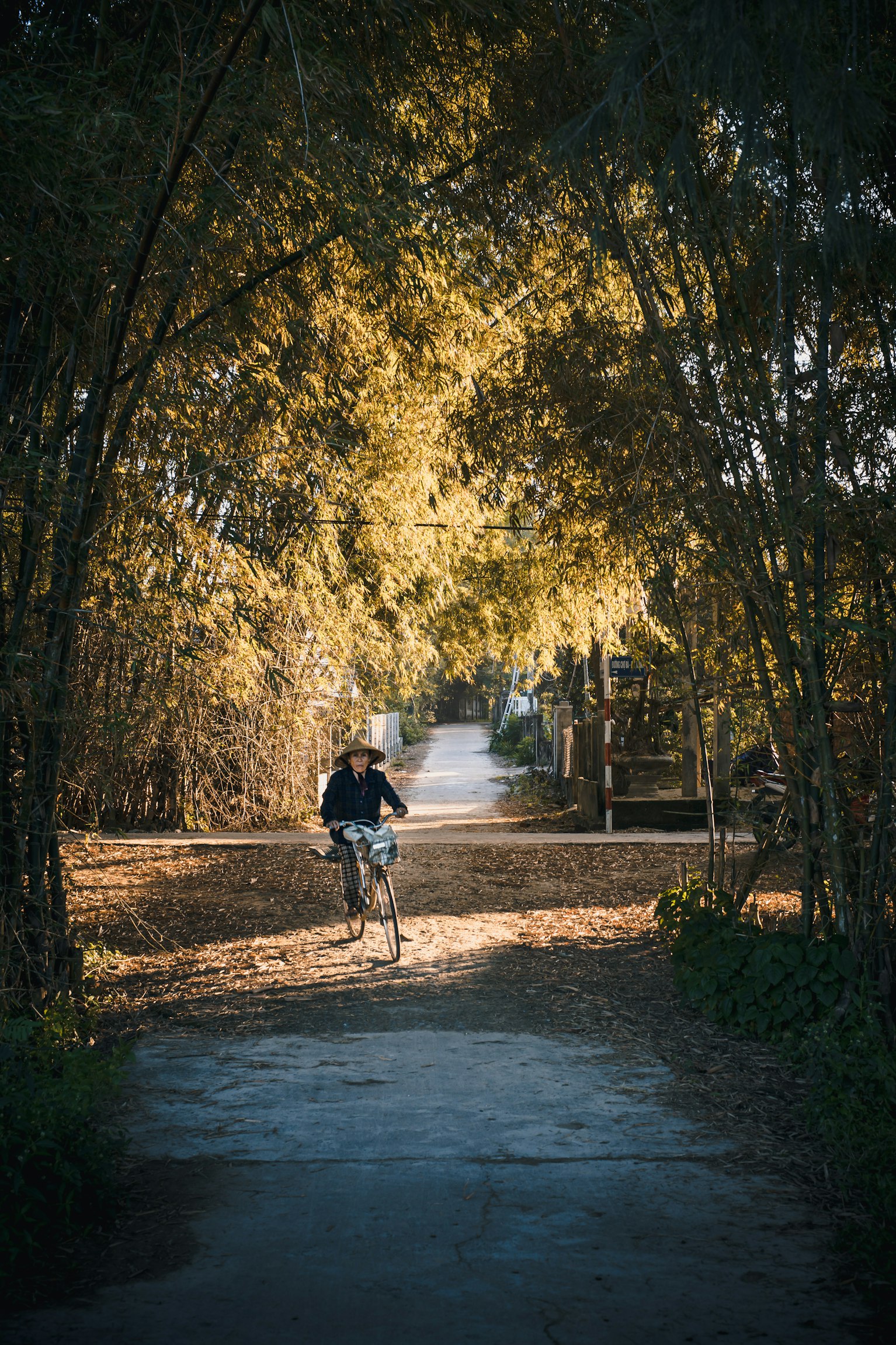 A lady riding a bicycle 