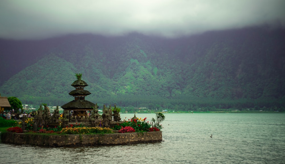 green trees on mountain near body of water during daytime