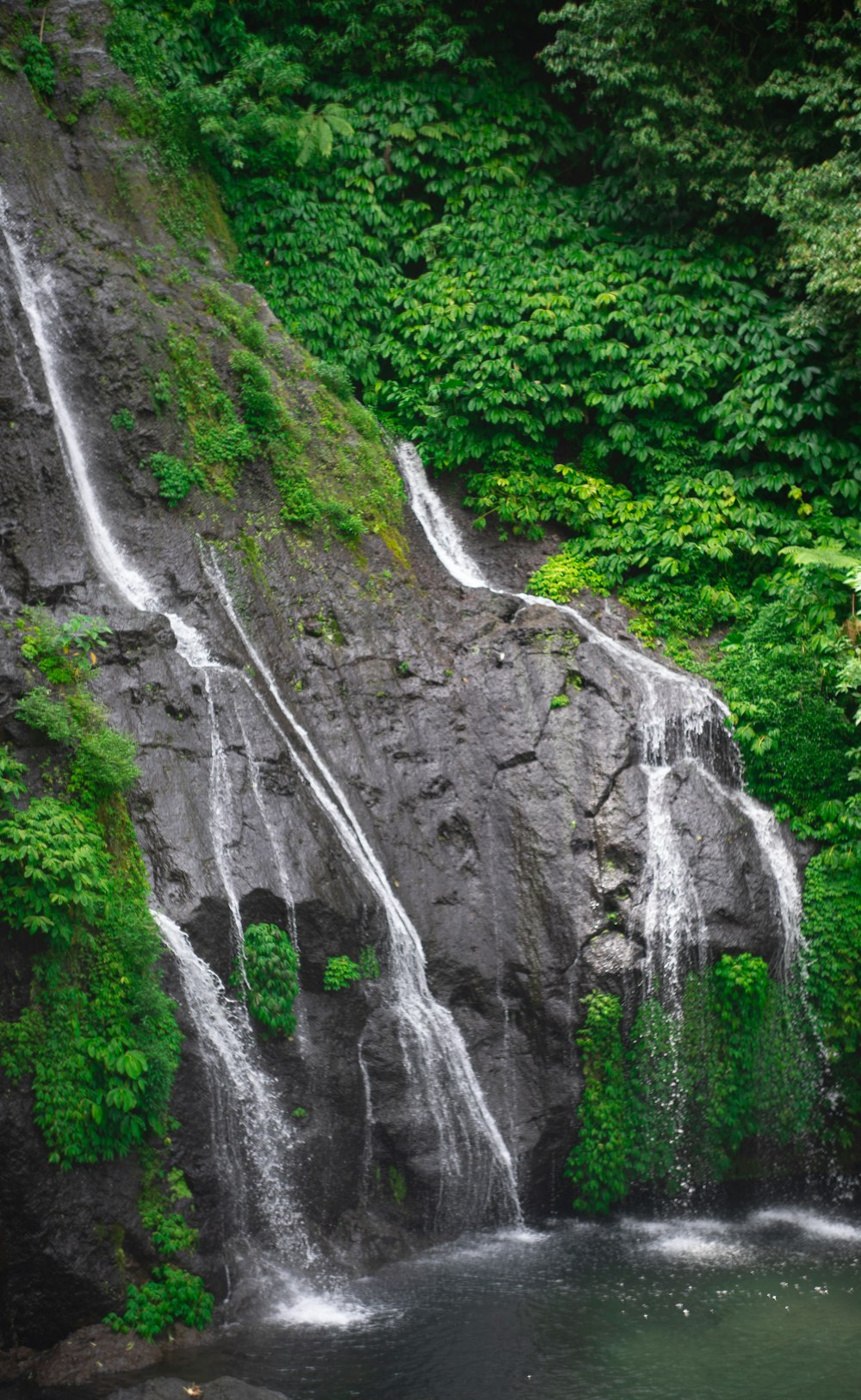 waterfalls in the middle of green trees