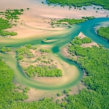 green grass field during daytime
