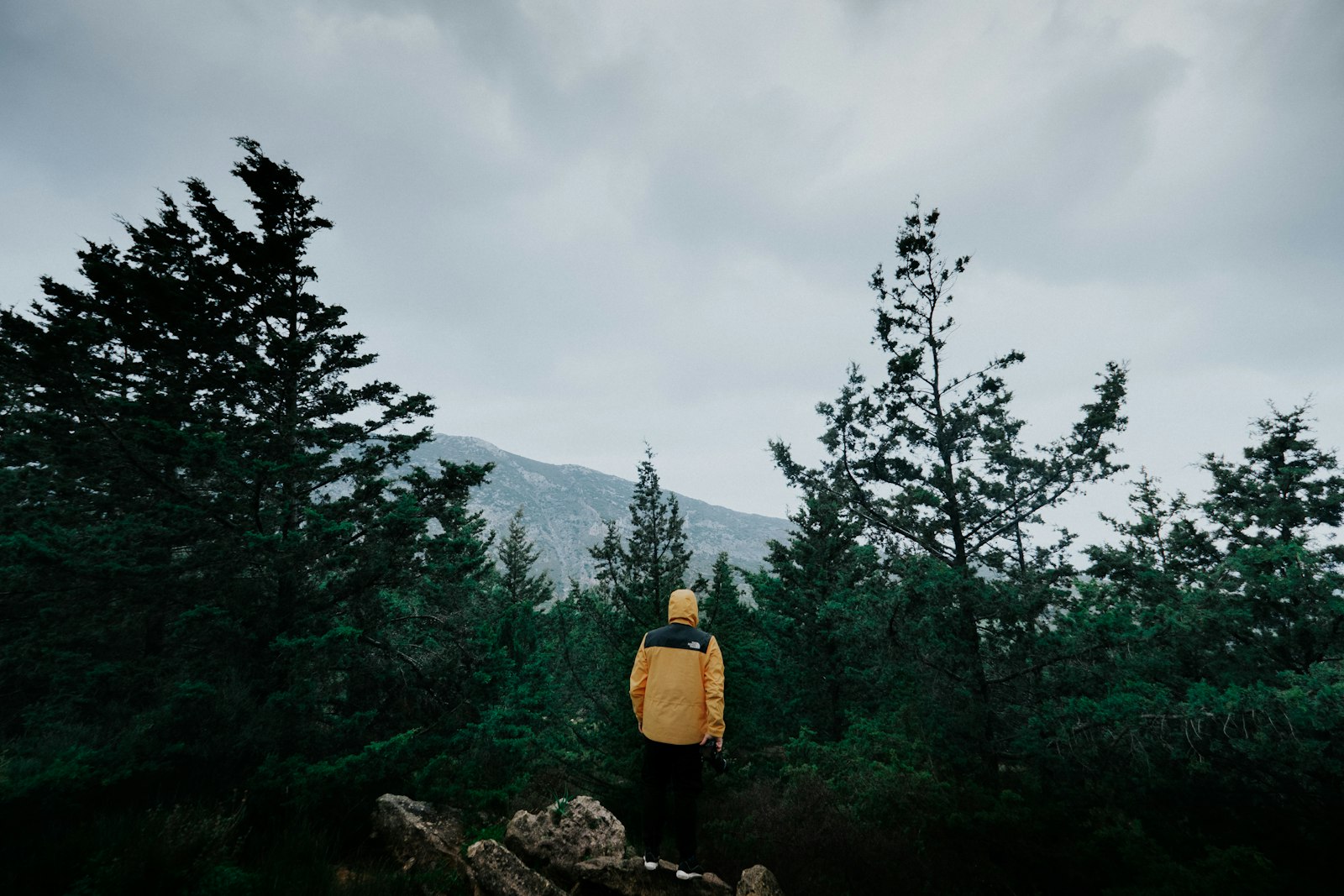 Fujifilm X-T3 + Fujifilm XF 10-24mm F4 R OIS sample photo. Person in yellow jacket photography