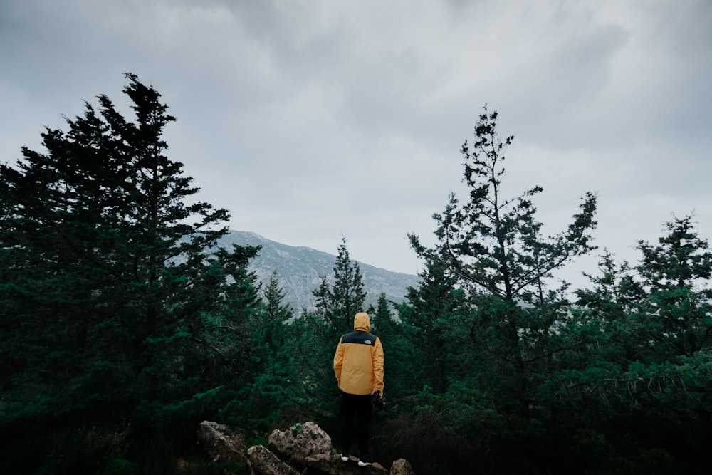 person in yellow jacket standing on rock near green trees during daytime
