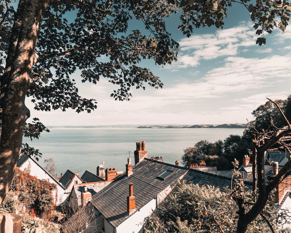 brown and white houses near body of water under white clouds and blue sky during daytime