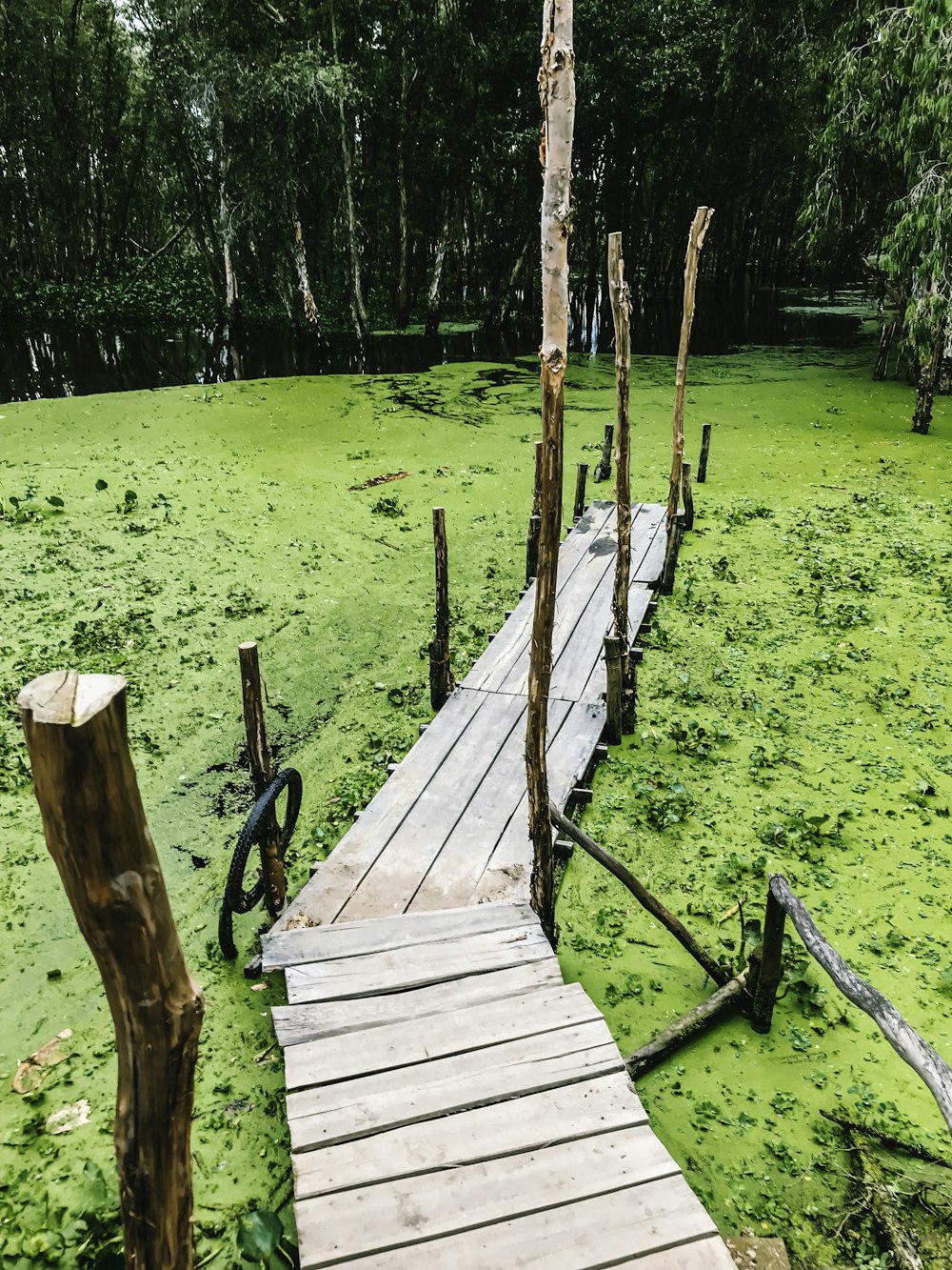 brown wooden dock on green grass field during daytime